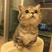 Nguyễn Thảo Ngân's Review